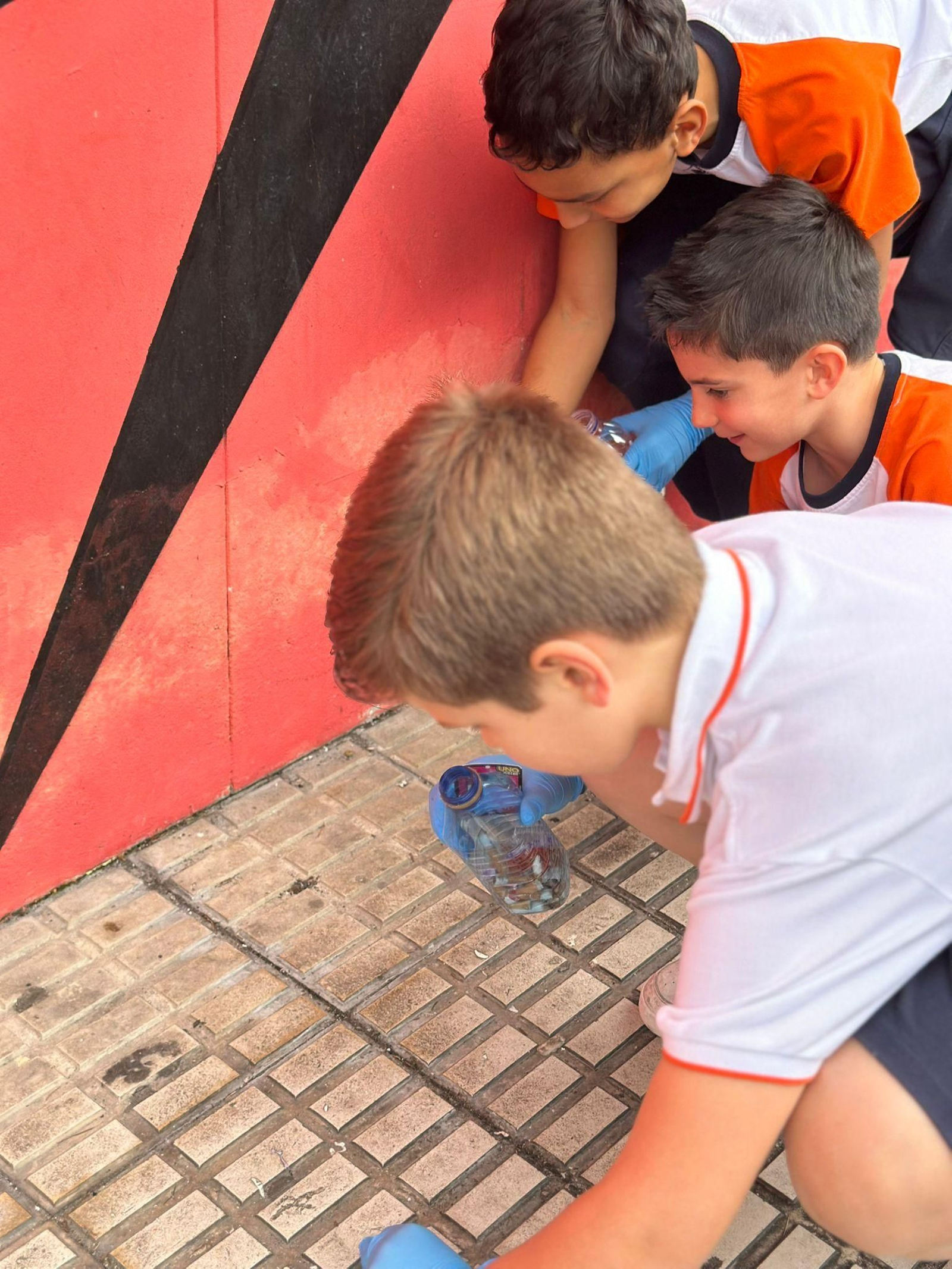 Actividad de Ecovigilantes