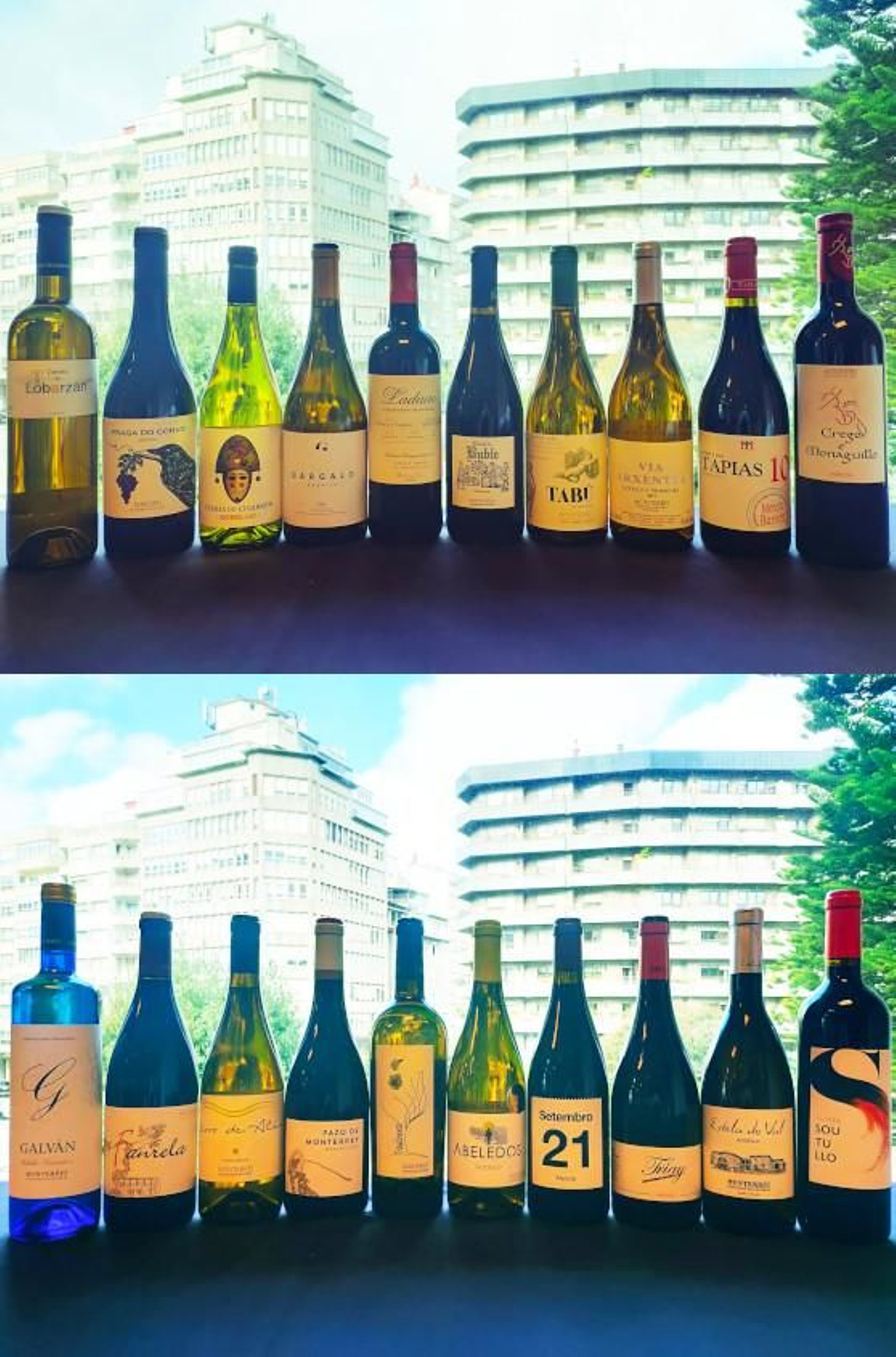 Vinos participantes en la iniciativa.