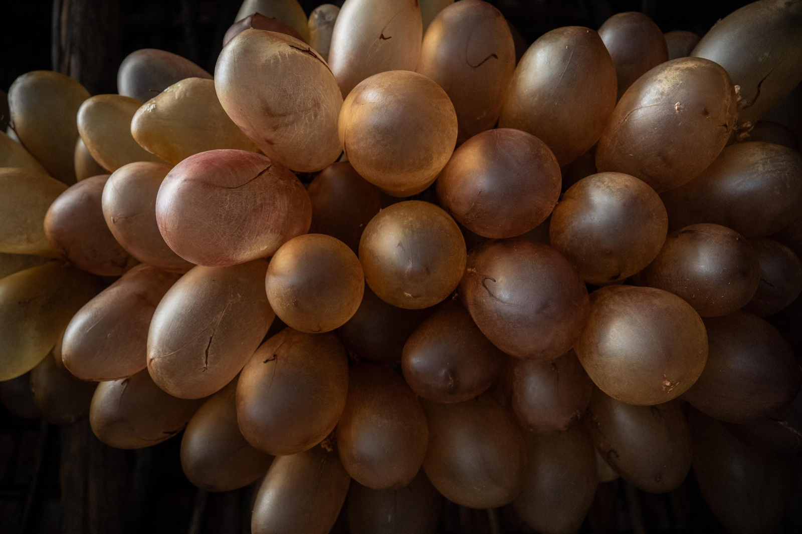 Galería | Las vejigas hechas para las pantallas del entroido rural