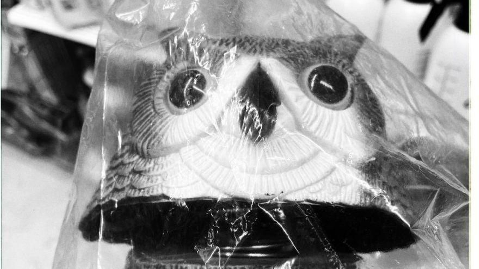 Coherencias e incoherencias