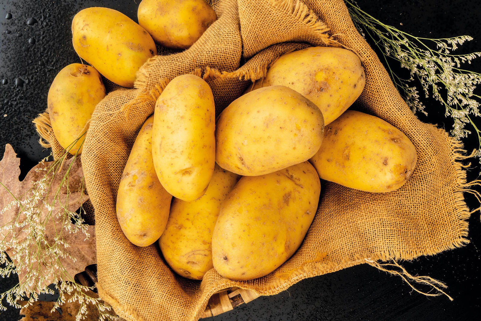 Patata agria a granel.