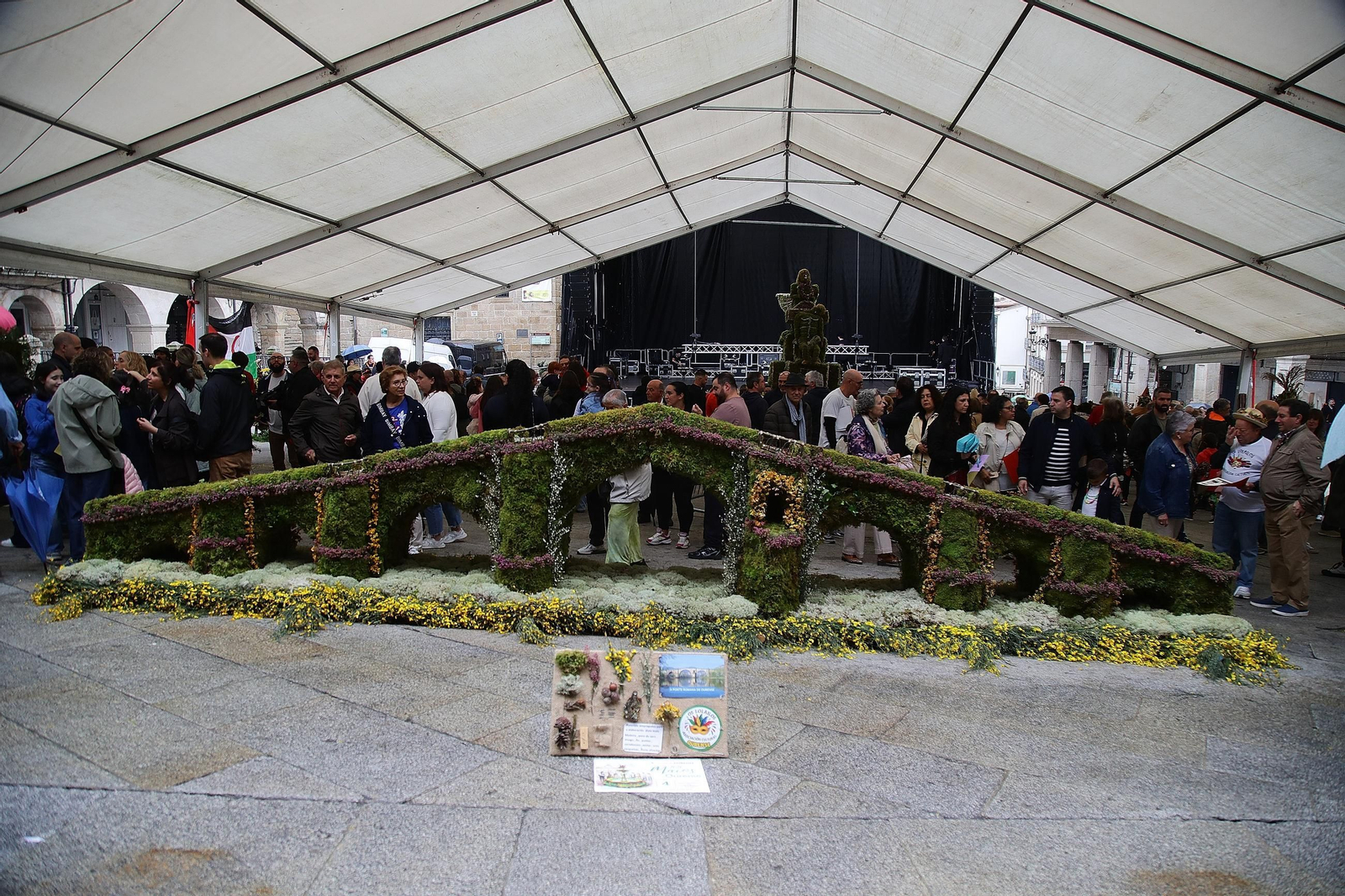 Galería | Estas son as coplas e os mellores maios de esta edición 2026 en Ourense, en fotos