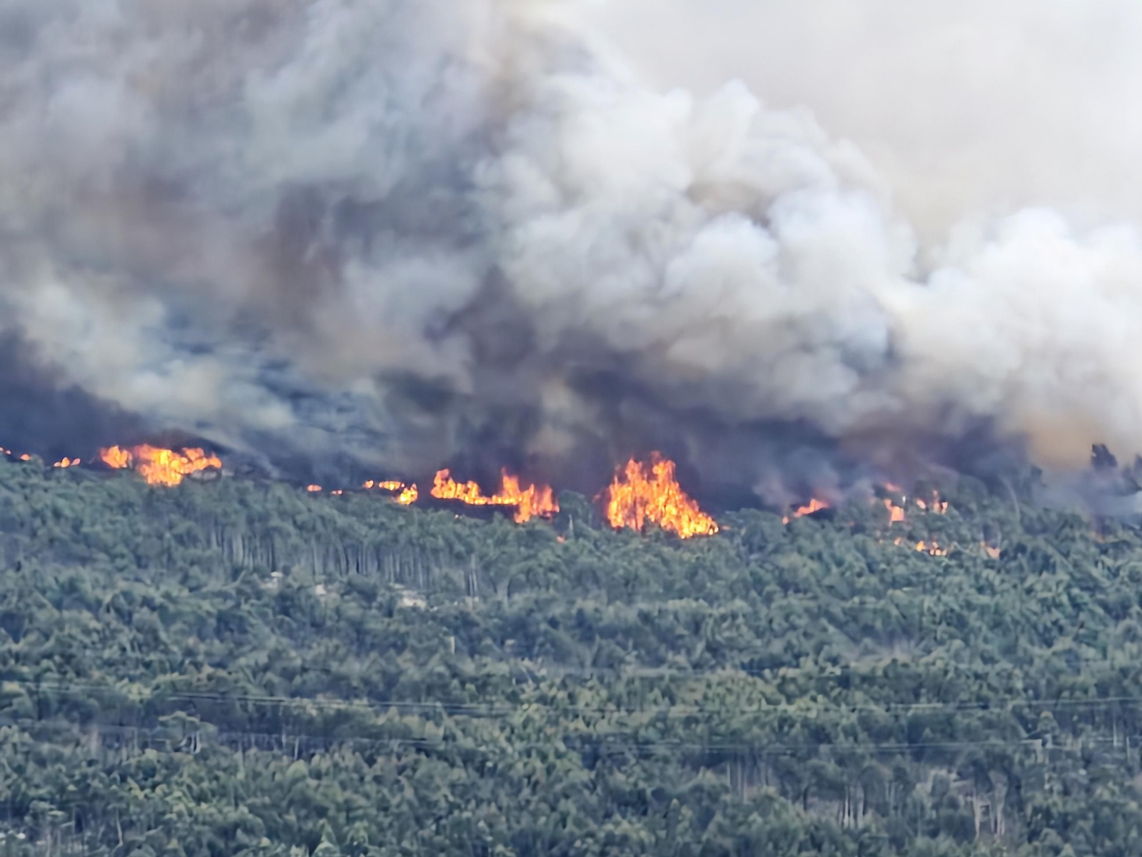 Galería | Las llamas devoran el monte Galleiro, entre Mos, Ponteareas y Pazos de Borbén