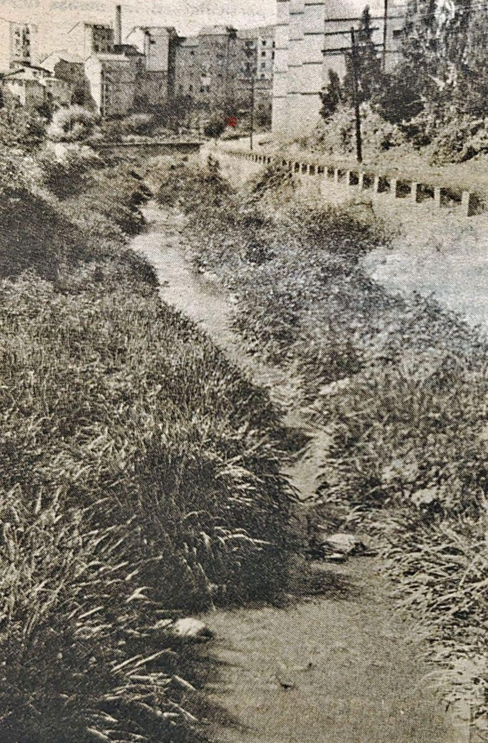El río Barbaña a su paso por Orense.