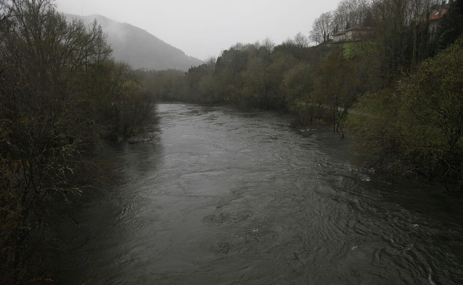 Galería | La crecida de los ríos anegan la provincia de Ourense