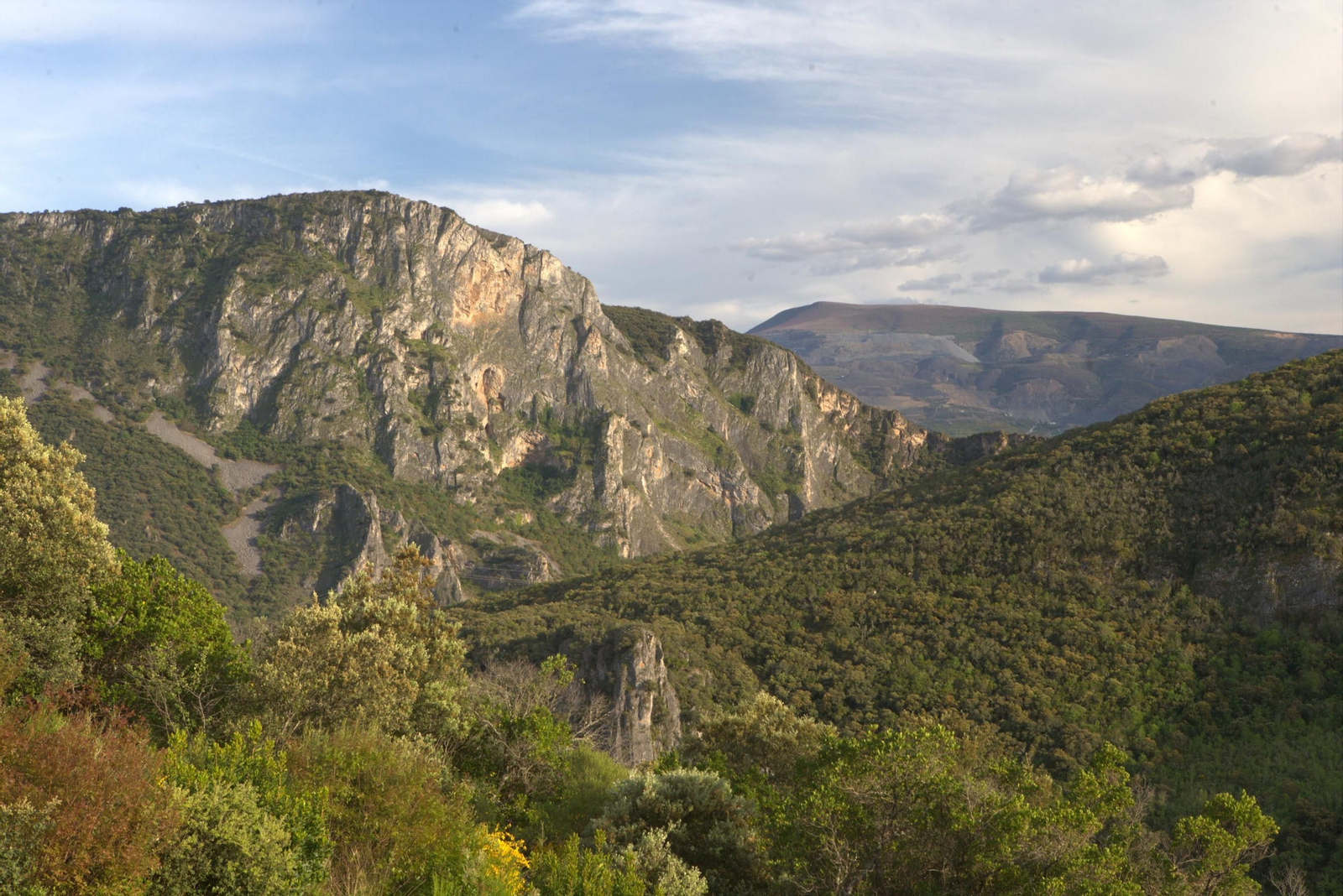 Morfoloxías únicas en Galicia