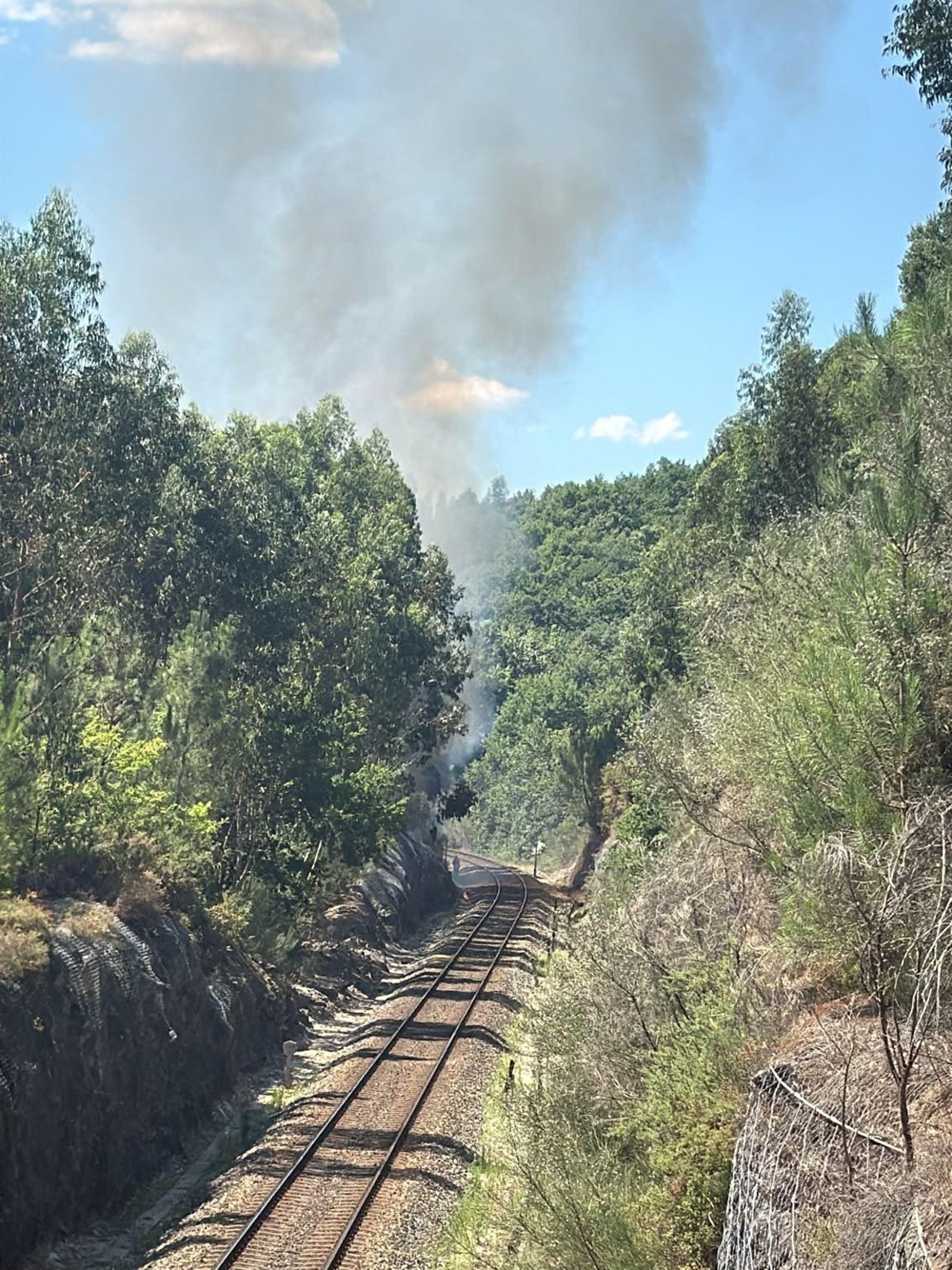 Se investiga si el paso de un tren estuvo en el origen de las llamas en el incendio forestal de Boborás.