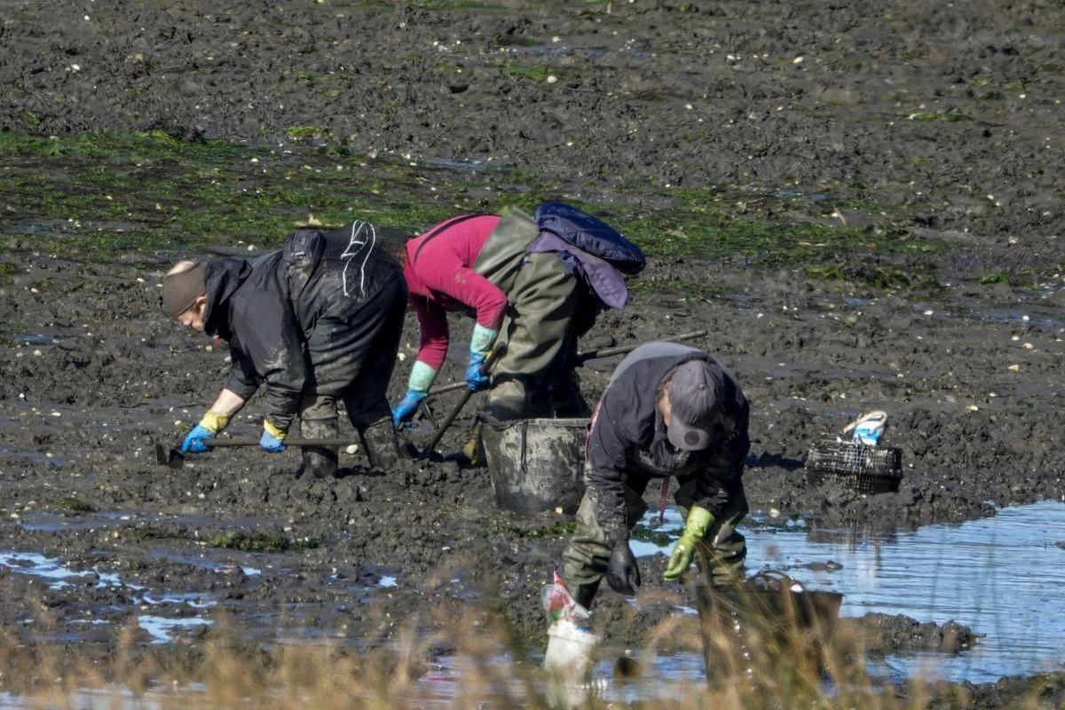 Sorry! Image not available at this time