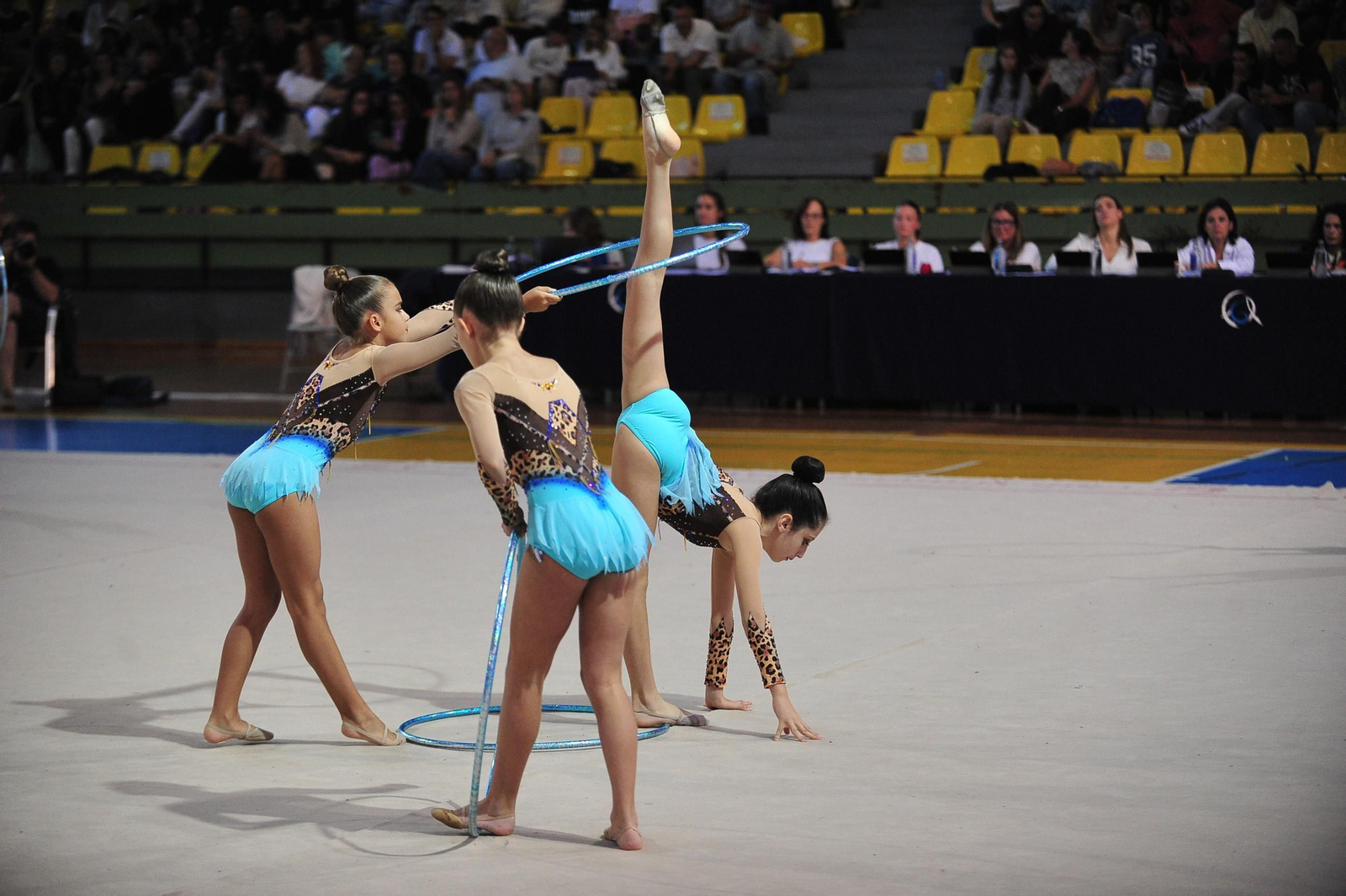 Las artistas del tapiz volvieron a brillar en el Campeonato Base de Gimnasia