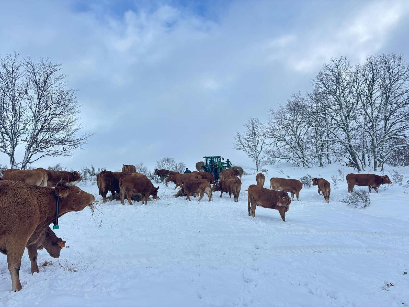 Los campos de Chandrexa de Queixa