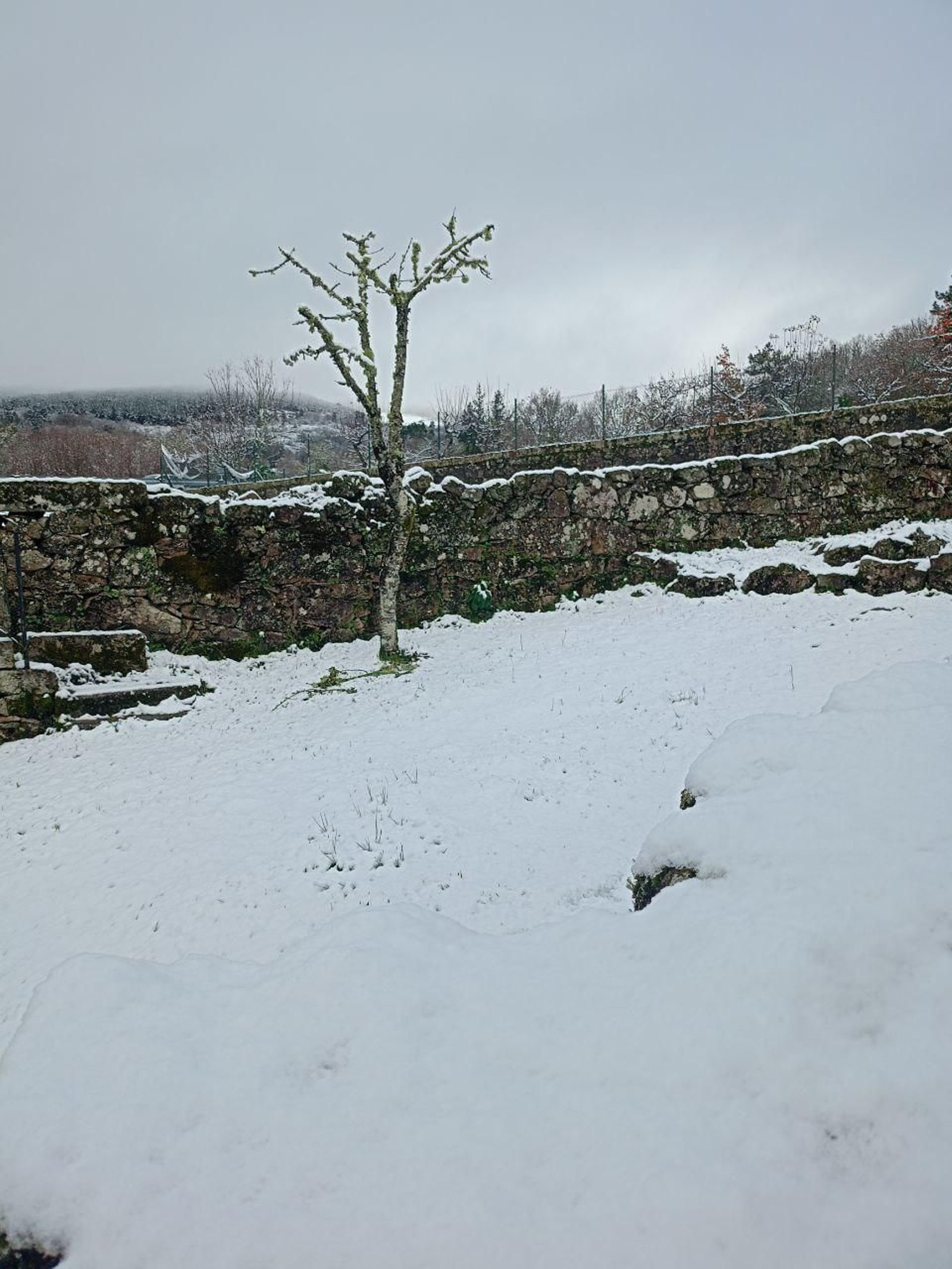 Galería | La nieve da la bienvenida al invierno en A Cañiza