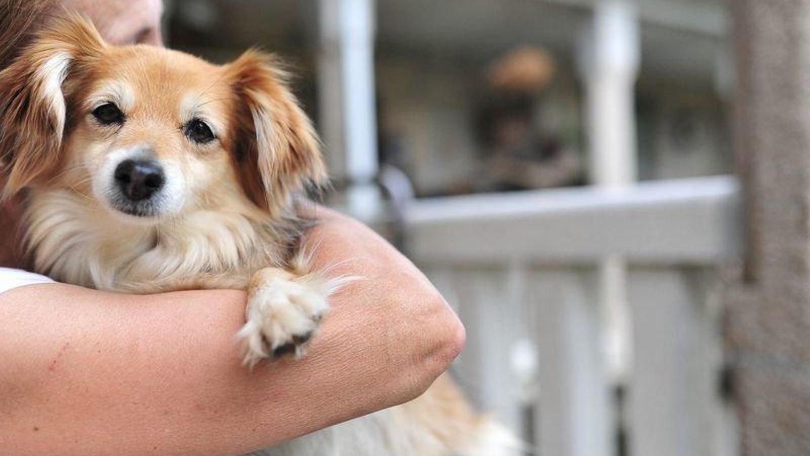 Laska guió a uno de los inquilinos hasta la bodega.