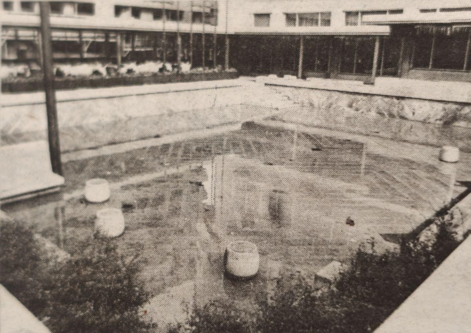 Inundado el Jardín Japonés