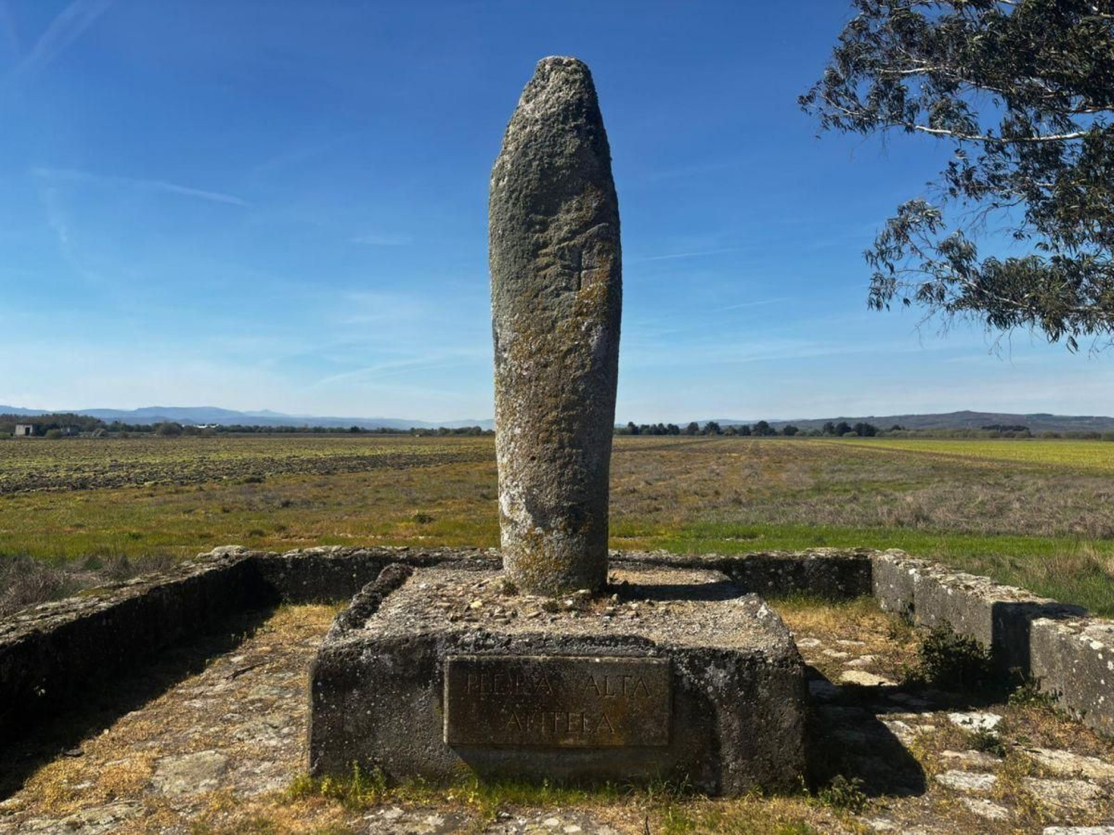 El menhir de la “Pedra Alta”.