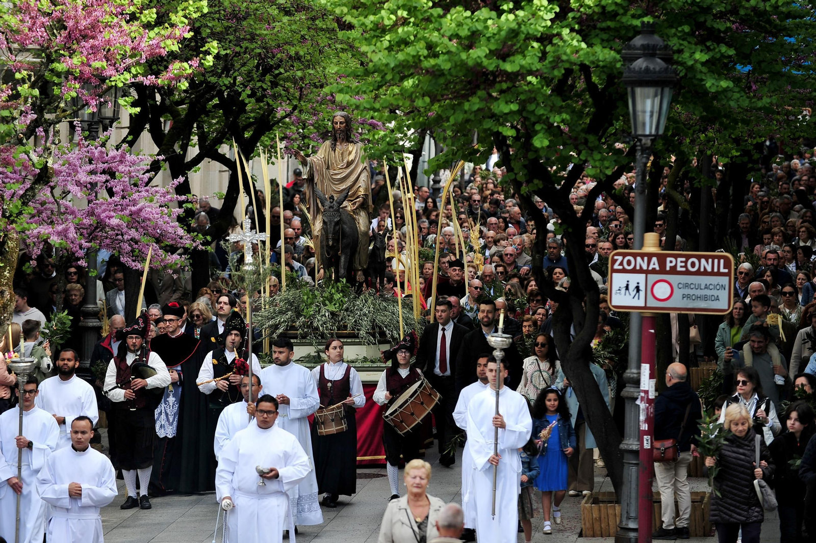 Galería | El Domingo de Ramos, primera gran muestra de devoción popular en Ourense
