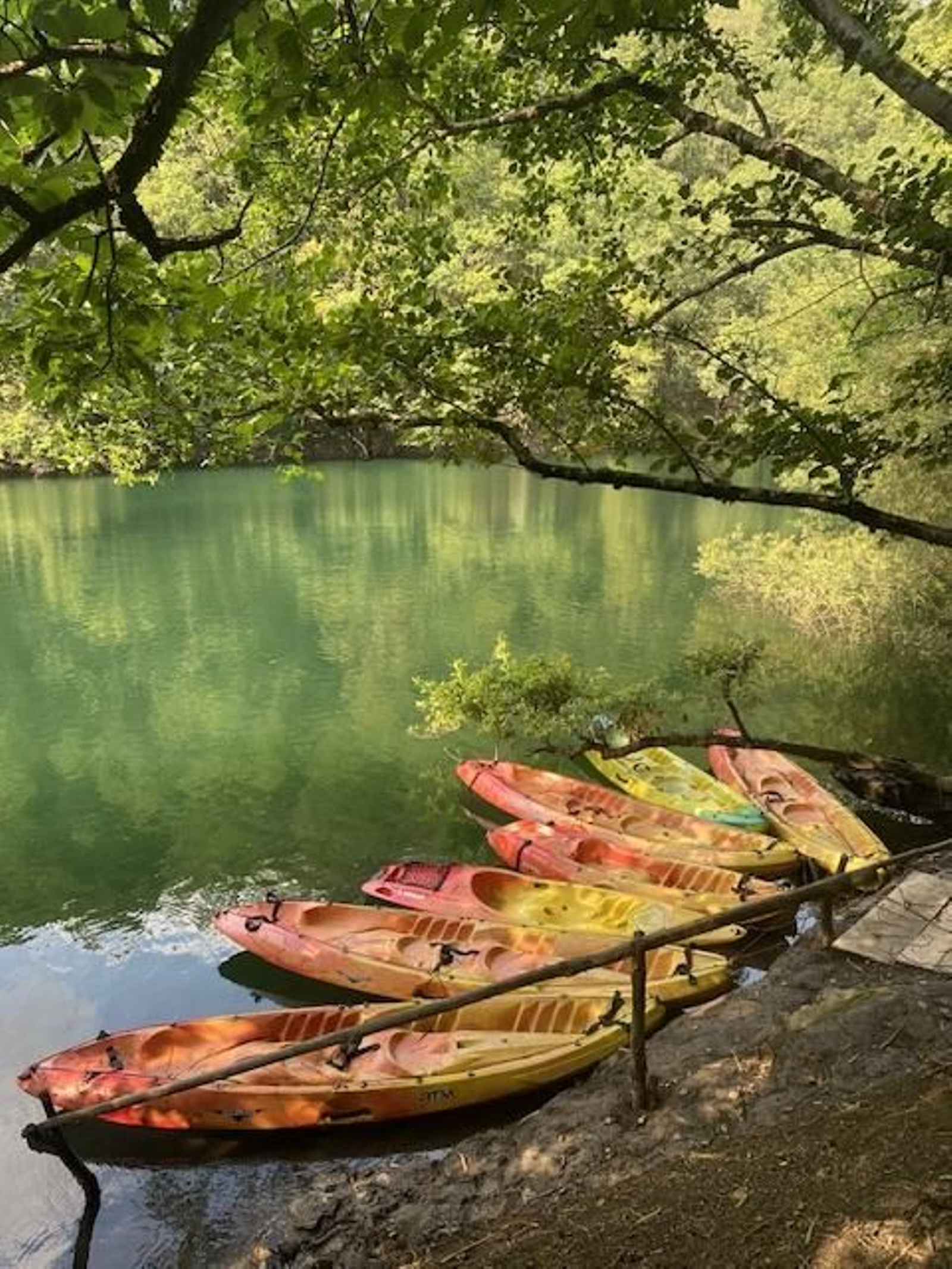 Calma, en las Fragas do Eume, de Cristina González Estévez.