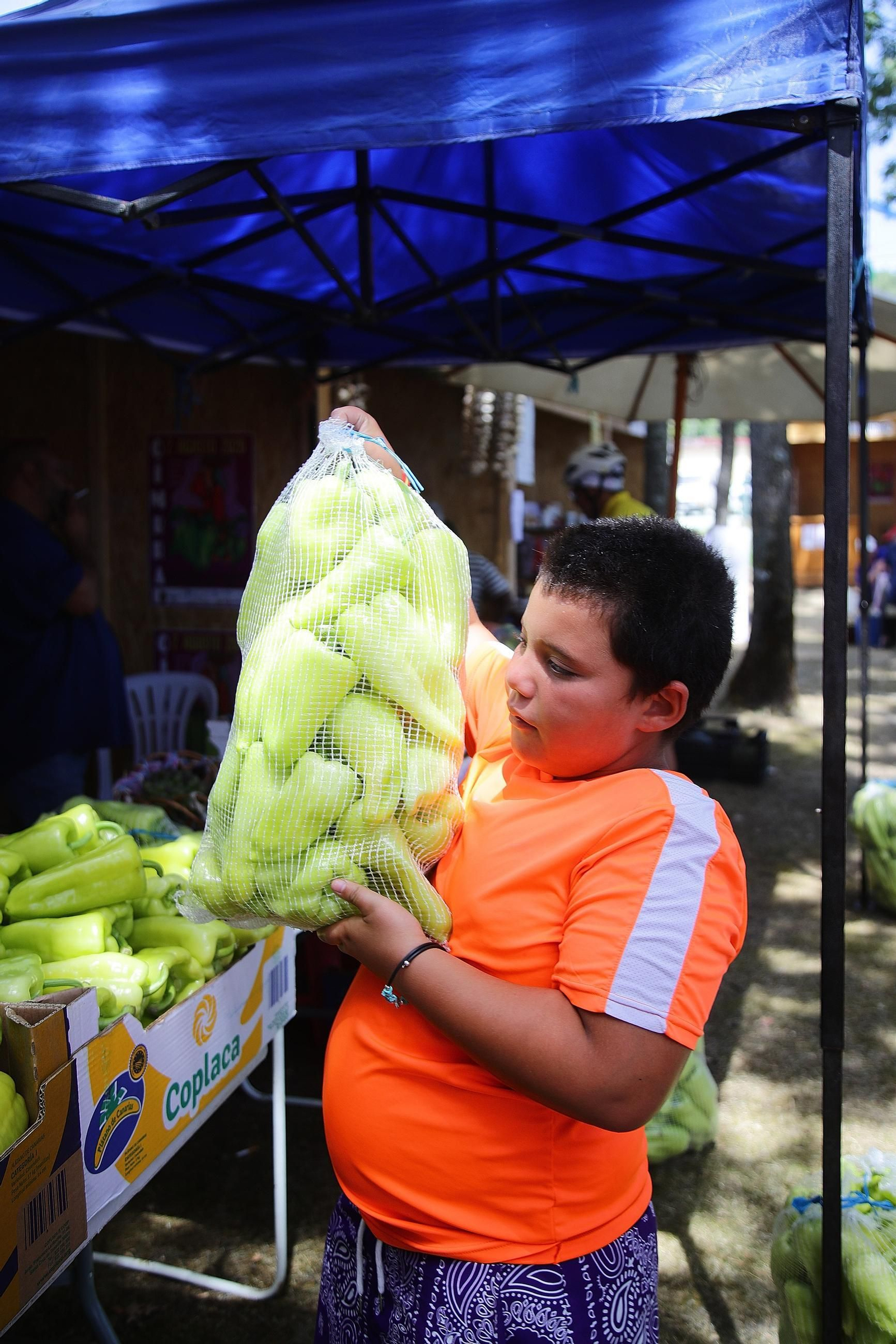 Galería | La Fiesta del Pimiento de Oímbra conquista a vecinos y visitantes