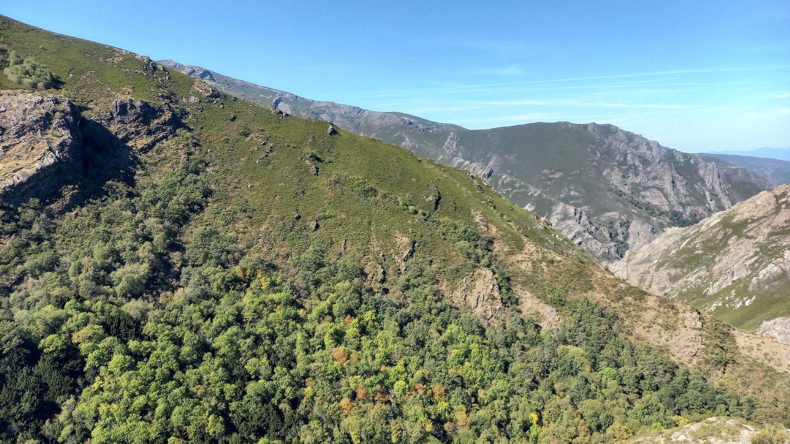  O Teixadal está situado no Macizo de Pena Trevinca, en Carballeda de Valdeorras.
