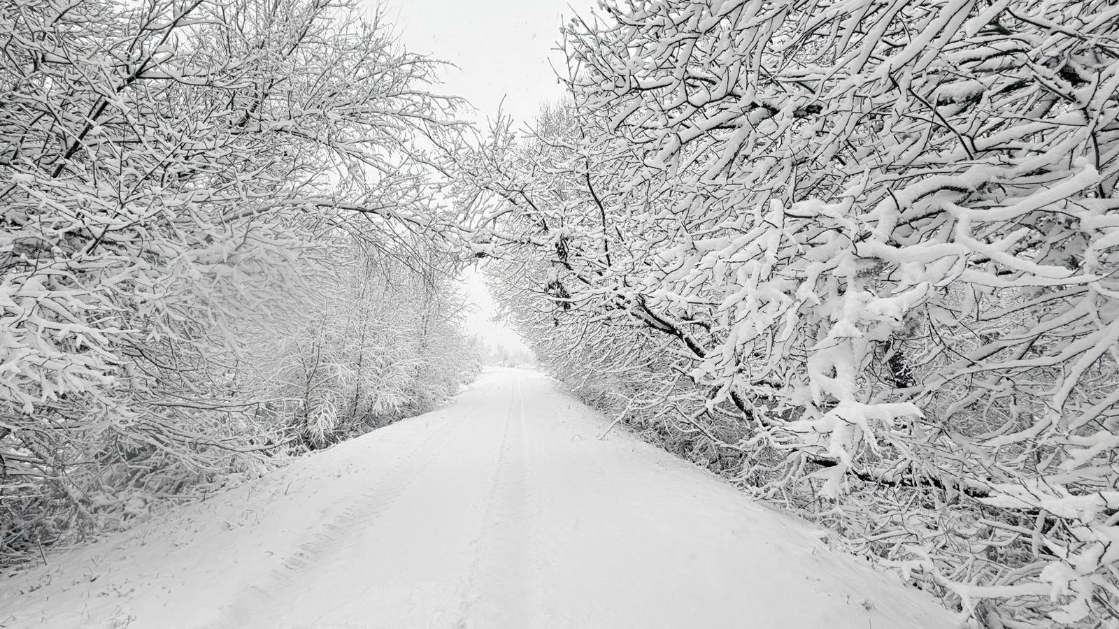 Galería | La borrasca Ingrid y la nieve pintan de blanco la provincia de Ourense, en imágenes