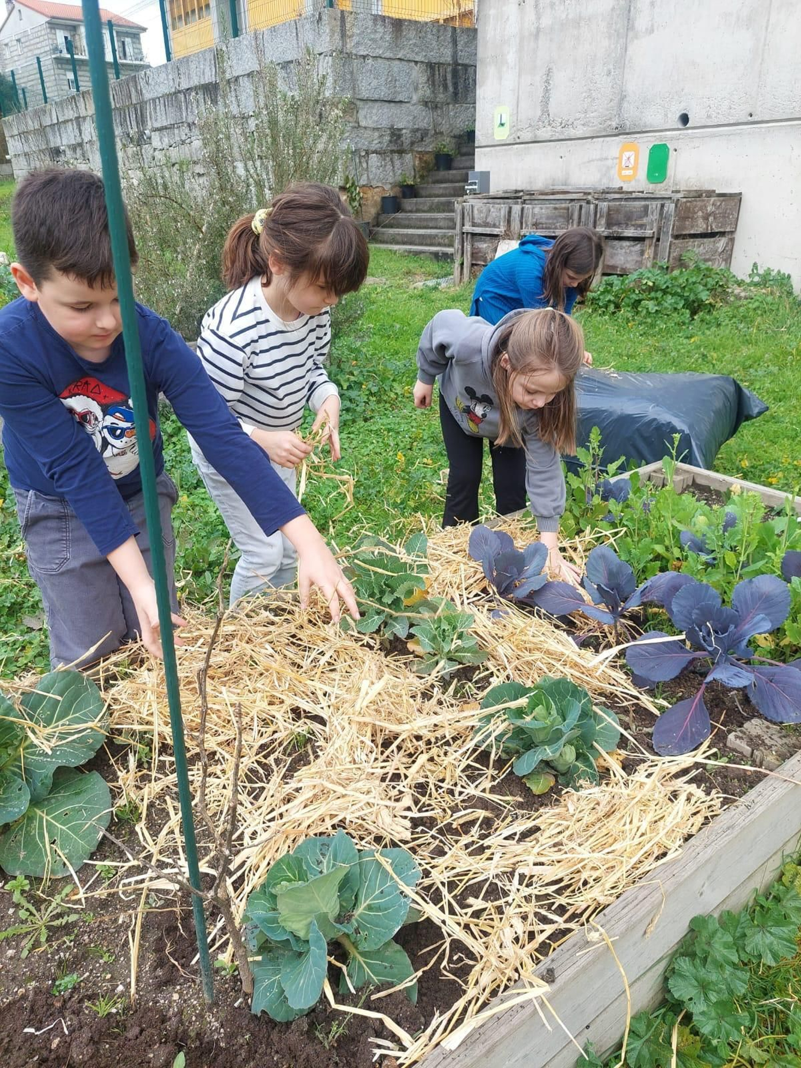 A natureza como mestra no Ruxidoiro