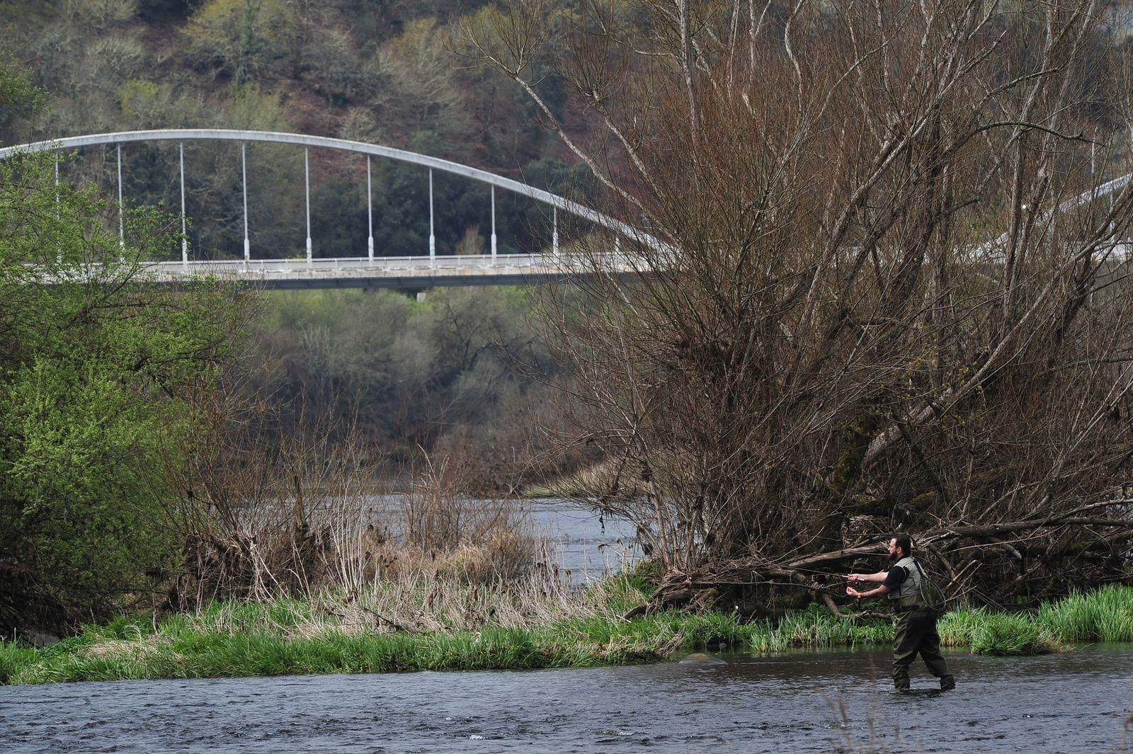 Primera jornada de pesca fluvial en el Miño (JOSÉ PAZ)