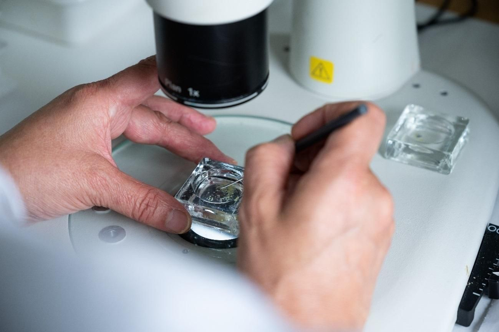 Trabajos en un laboratorio