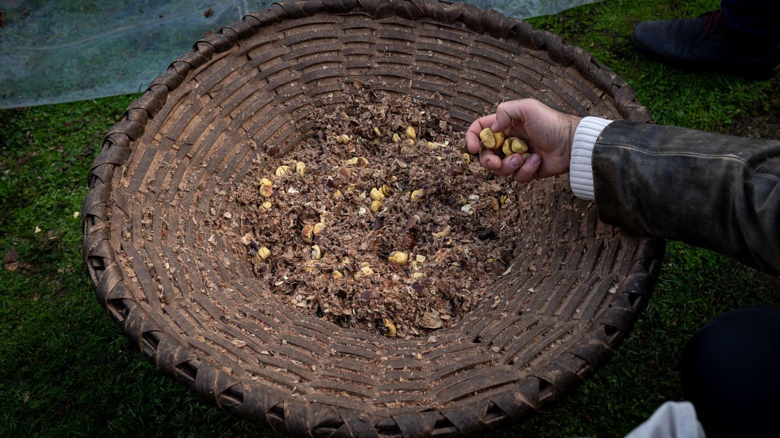 Una cesta de castañas lista para ser preparadas.
