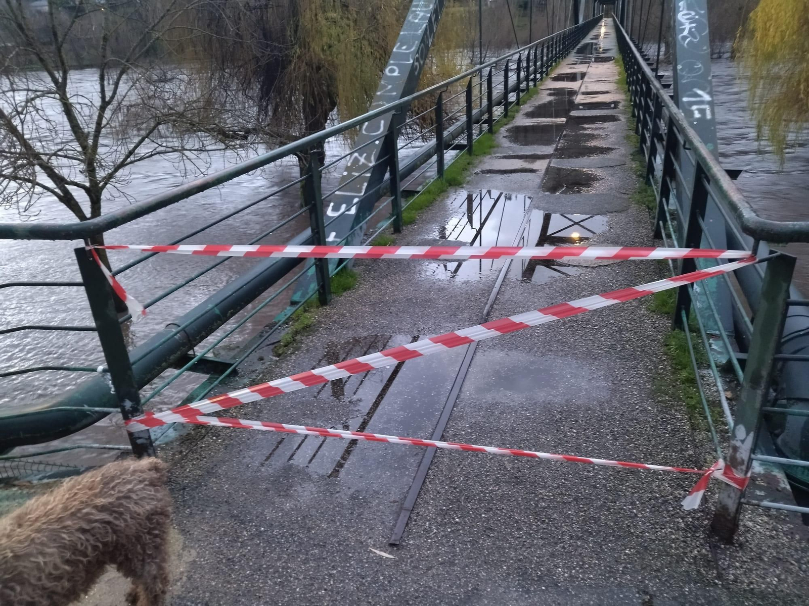 Galería | Las lluvias causan desbordamientos en los ríos de la provincia de Ourense