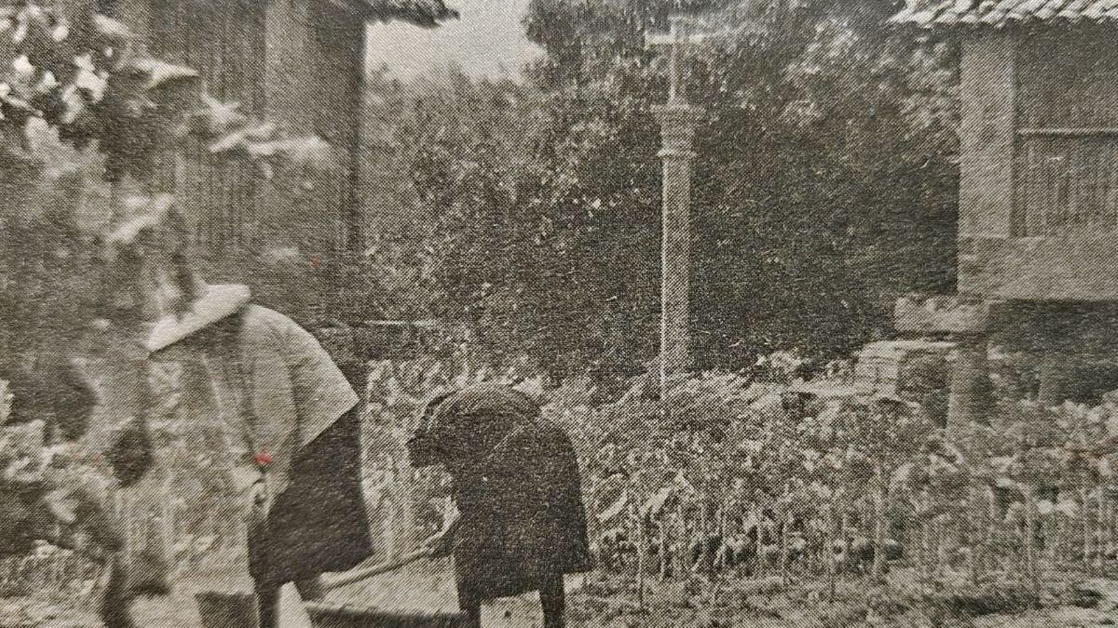 Cuando la naturaleza imita al arte