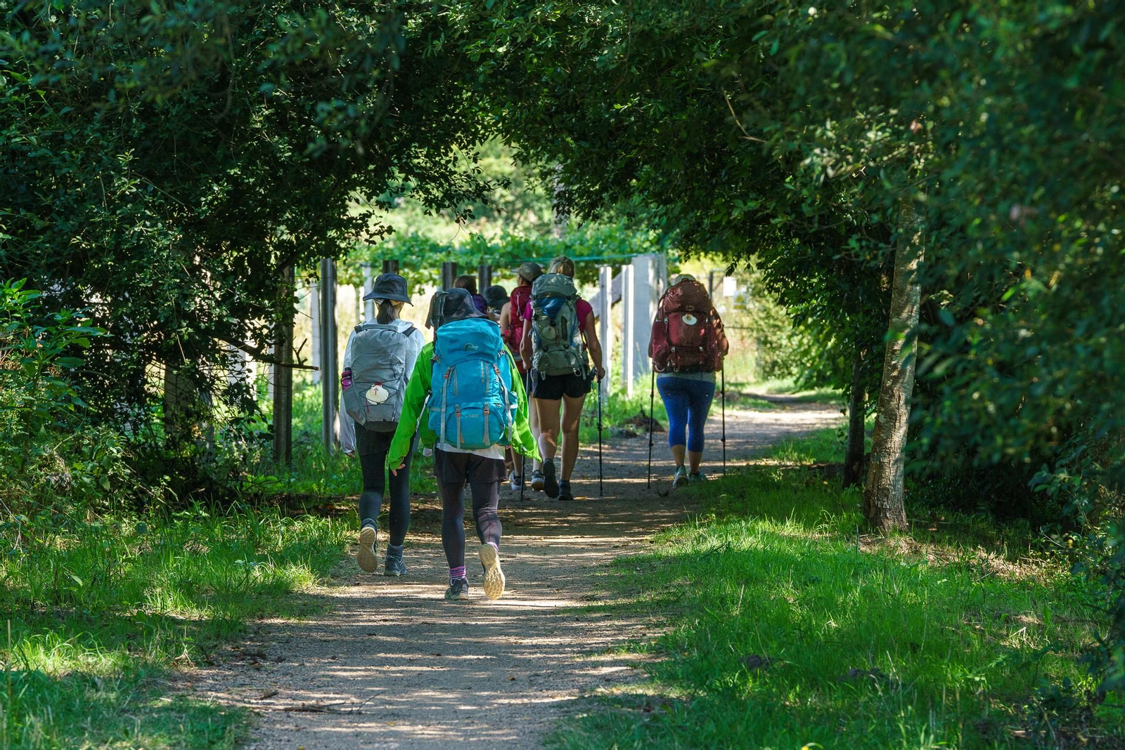 Peregrinos recorriendo la Variante Espiritual del Camino.
