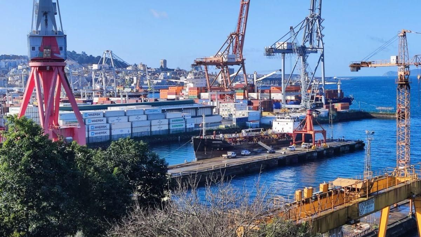 Así está la terminal de contenedores, ocupando hasta el último metro en el límite con Vulcano.