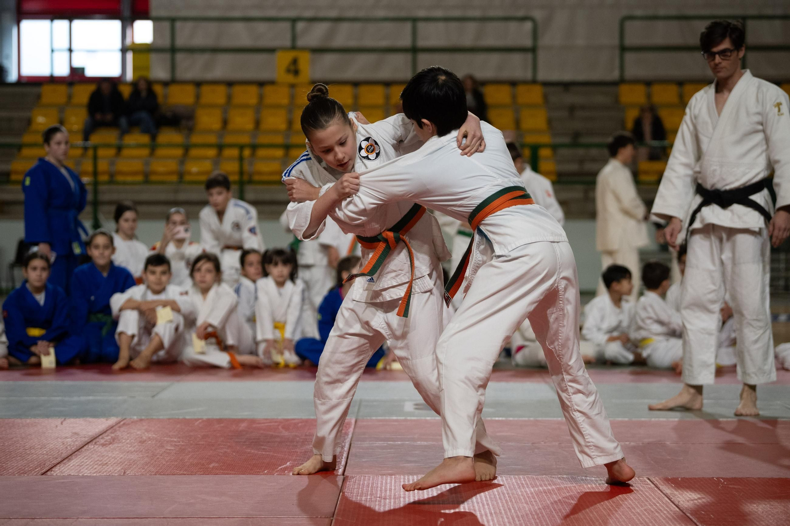 Galería | El judo arranca una edición más de su Copa Diputación