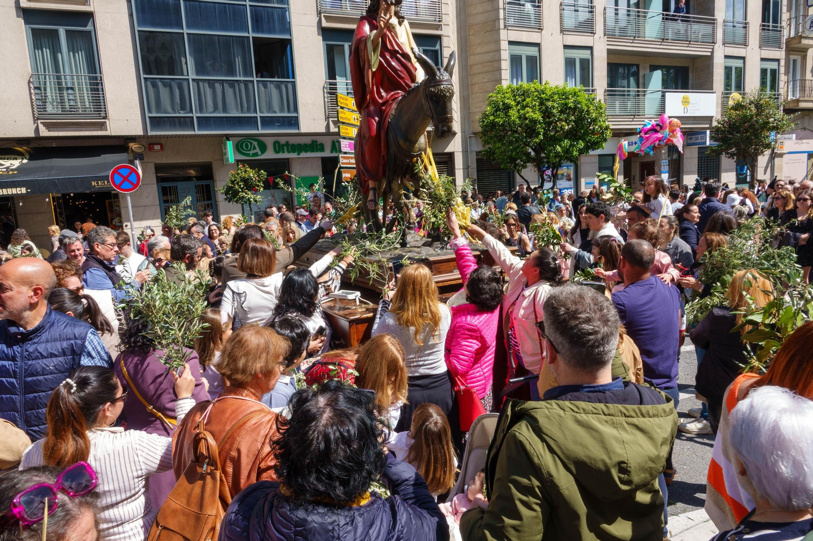 Galería | La procesión de la Borriquita 2025