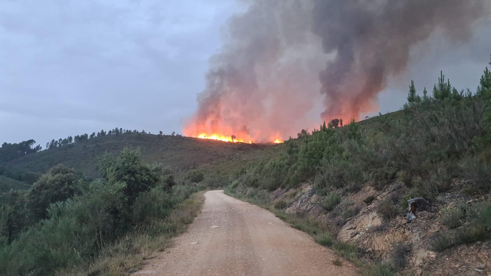 Incendio de Seadur, ayer por la tarde.