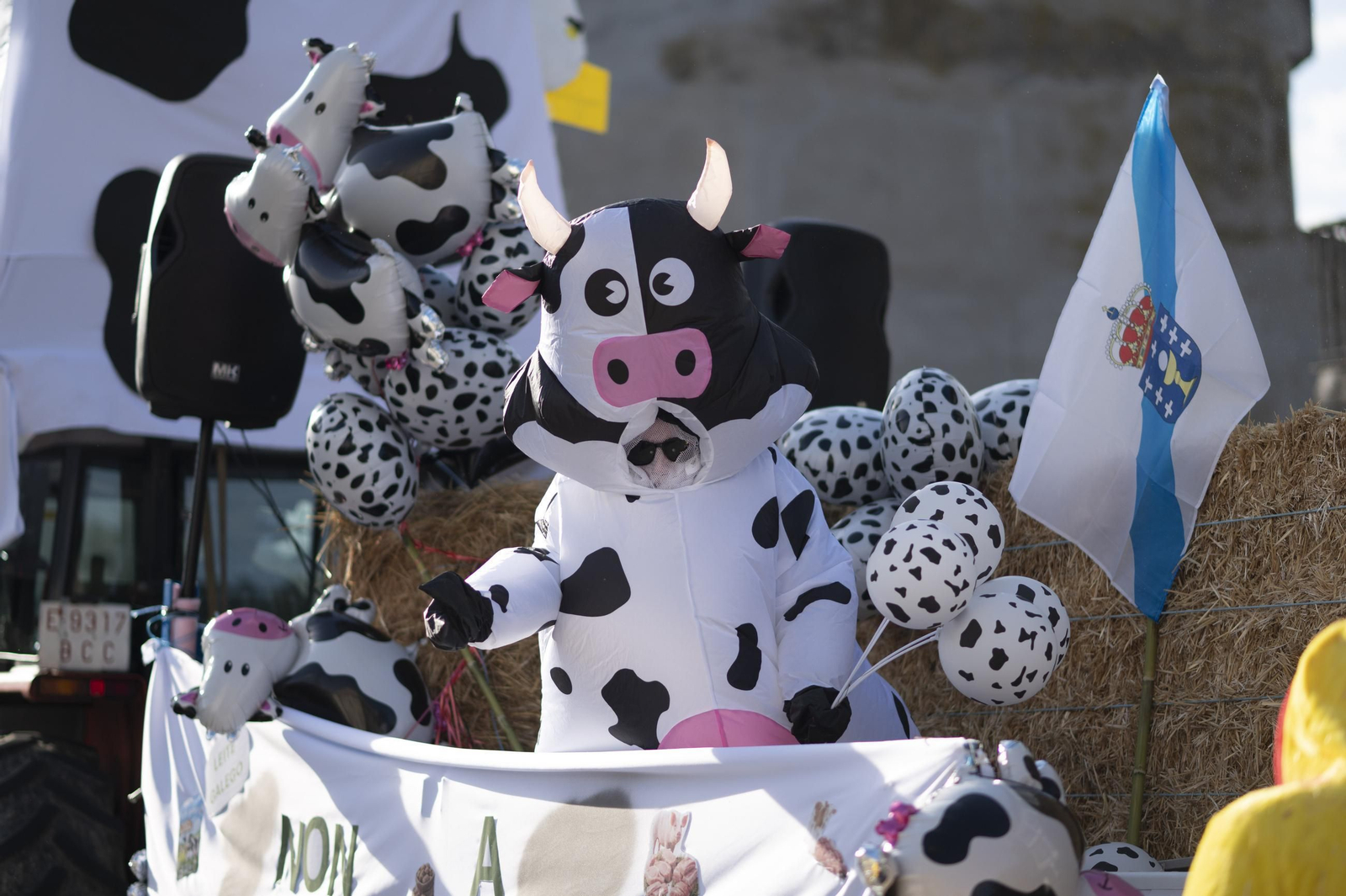 Galería | O Zamaruco dixo adeus ao Entroido en Cortegada o Entroido coas súas comparsas
