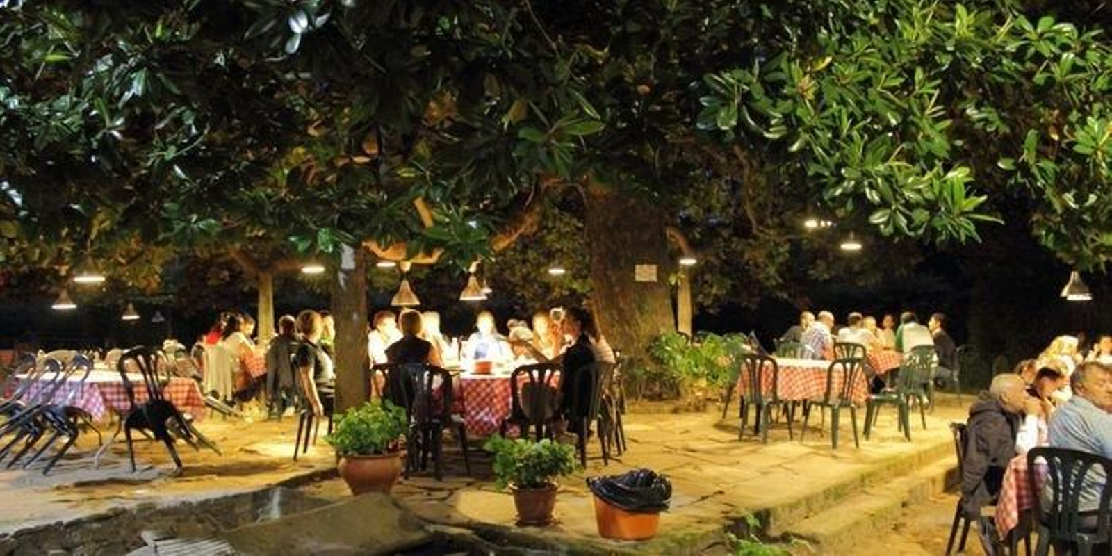 Con un magnolio del siglo XVIII se encuentra Reboraina, en Redondela. Un furancho singular con vino supervisado por una conocida enóloga.