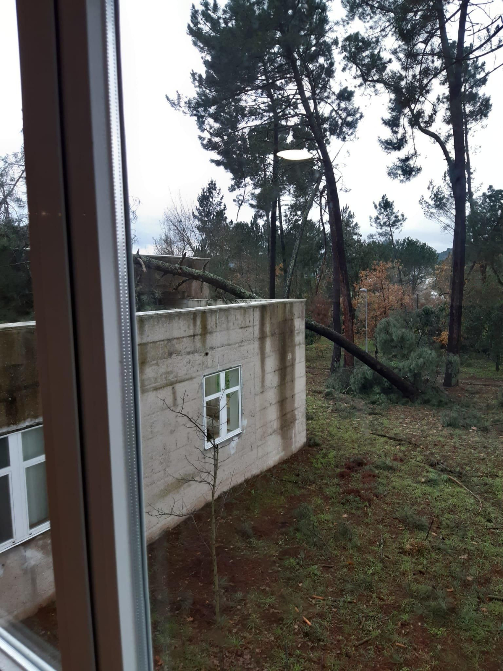 Destrozos en la Universidad Laboral por el temporal