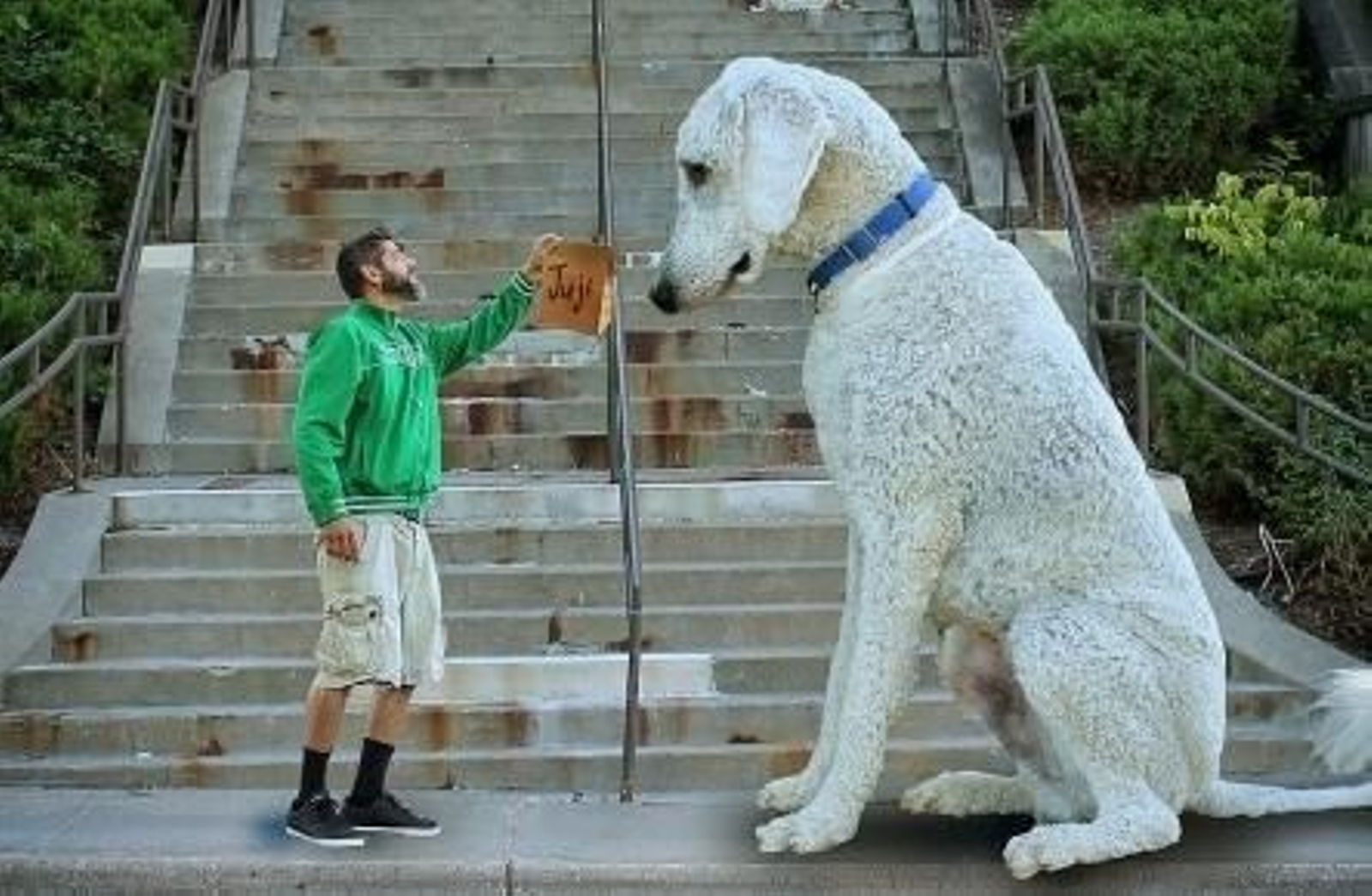 Cline con su perro en una de sus imágenes de Instagram.