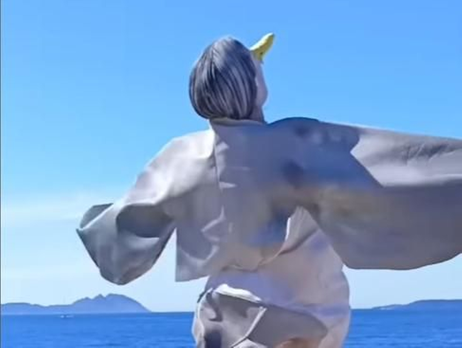 Fotograma del vídeo viral de la gaviota.