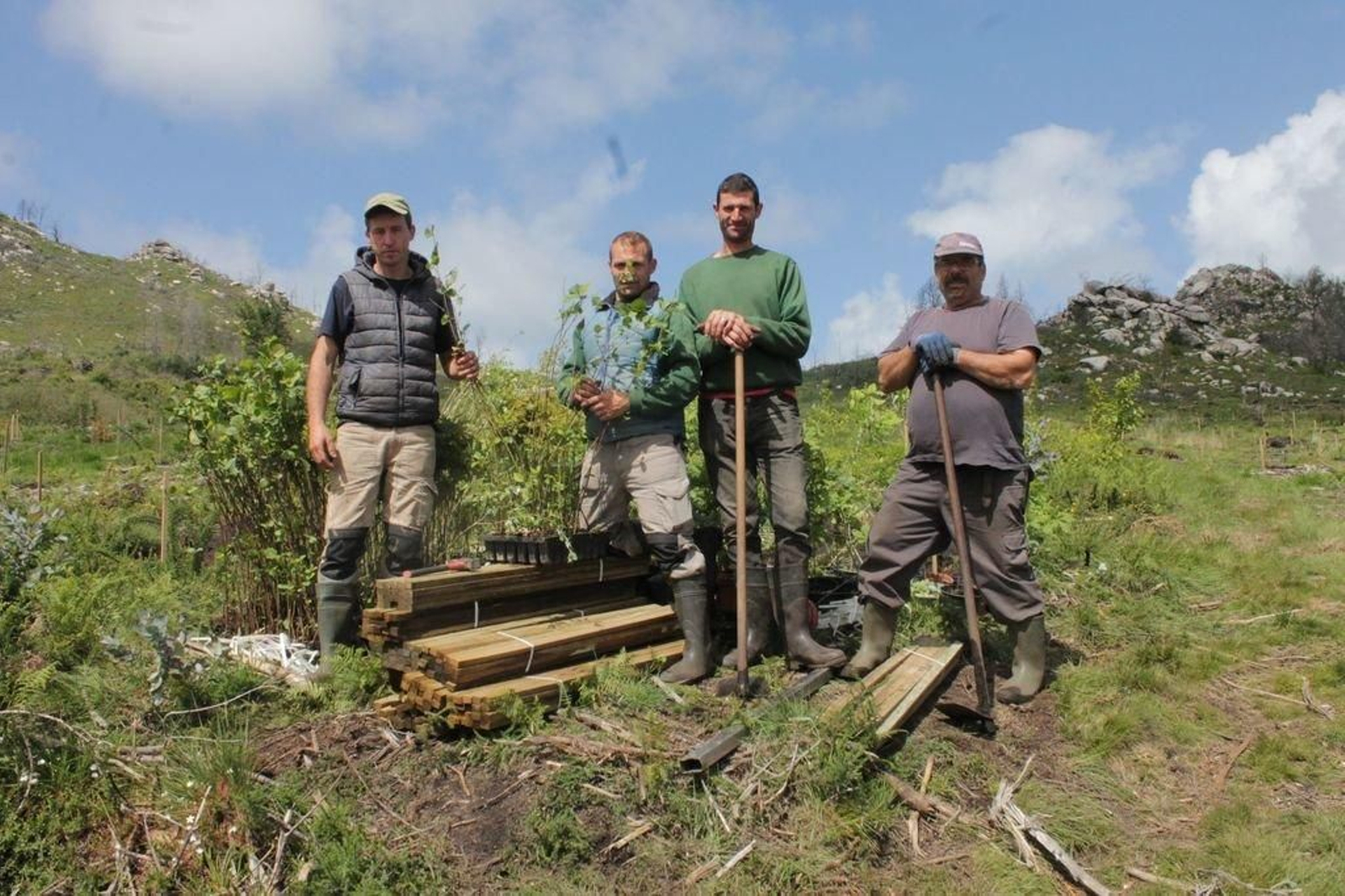 Iván, Jose, Andrés y Nacho son los encargados de reforestar a mano las tres hectareas de terreno.