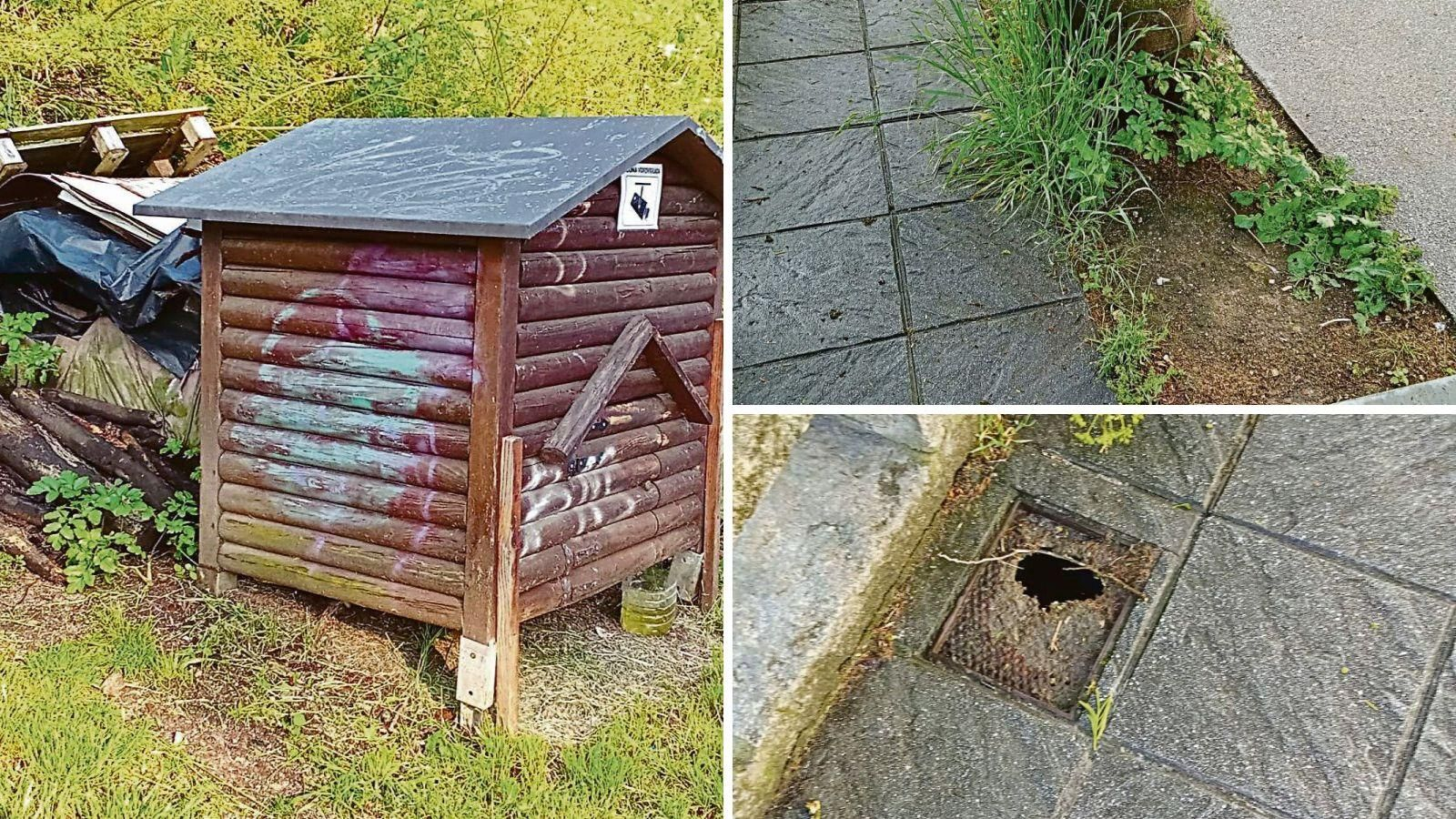 Abandono del paseo del río Barbaña