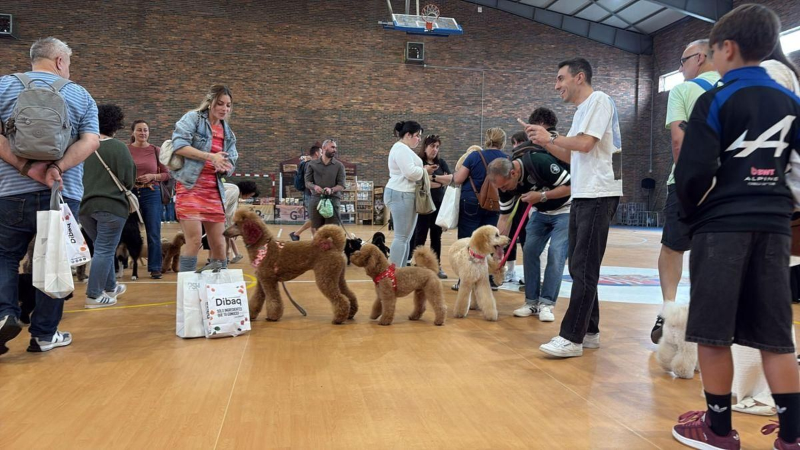 El Pabellón de Deportes de Nigrán acogió a los amantes de una de las razas de perros considerada como más inteligentes.