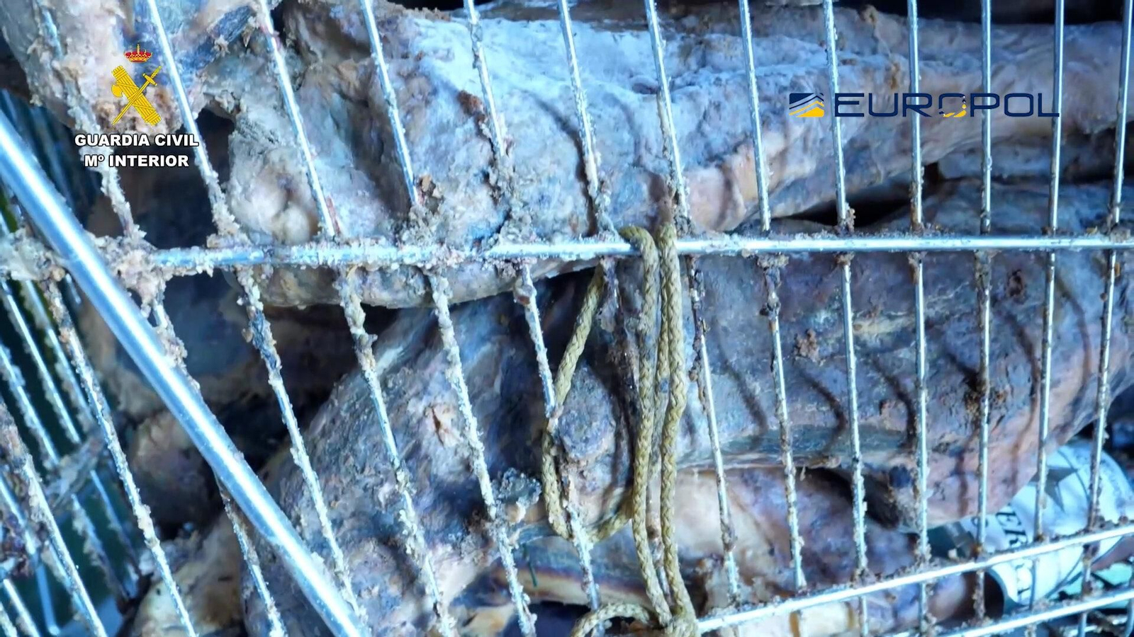 Alimentos en mal estado incautados por la Guardia Civil