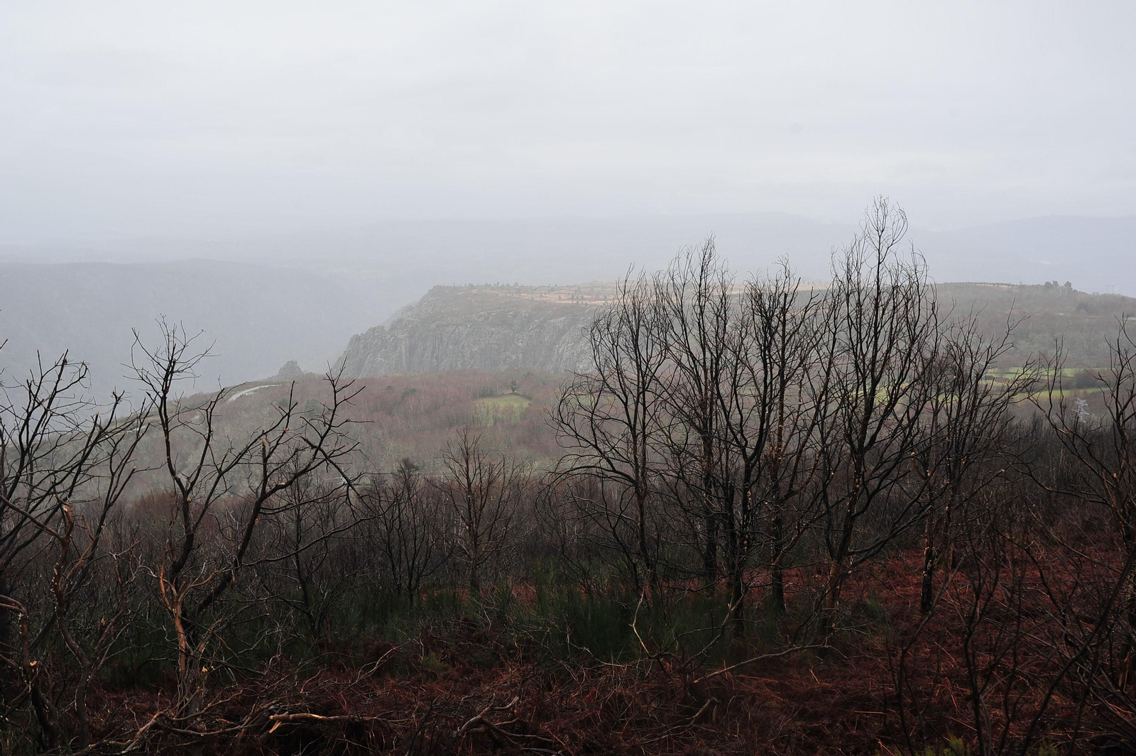 PARADA DE SIL, CABEZA DE MONTE MEDA 29/01/2020.- Degradación paisajística y medioambiental tras los incendios del 2017, Ribeira Sacra. José Paz