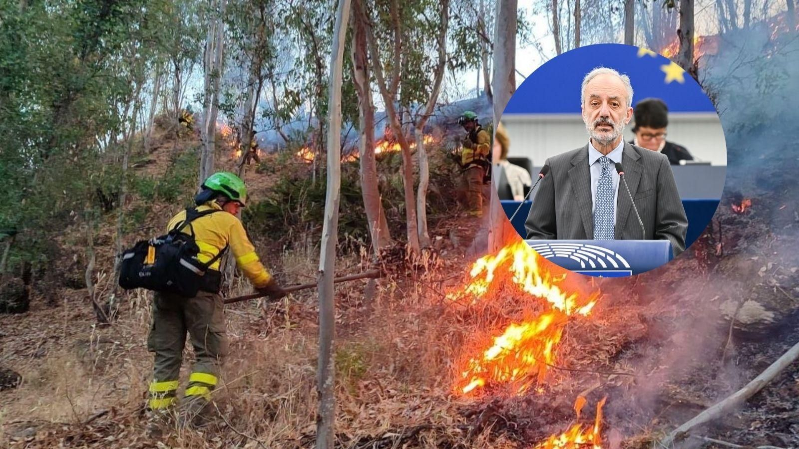 Millán Mon reclama más ayudas europeas para la prevención, vigilancia y recuperación de las zonas afectadas por los incendios forestales.