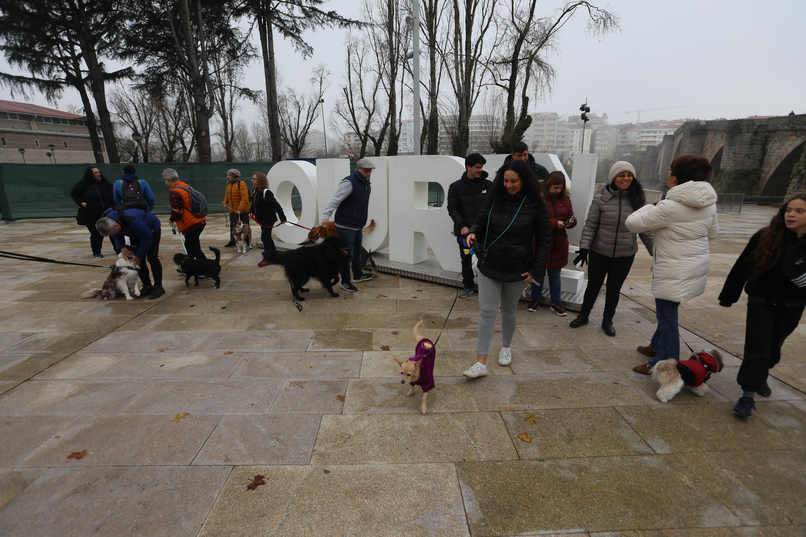 Andaina perruna por la ciudad. José Paz