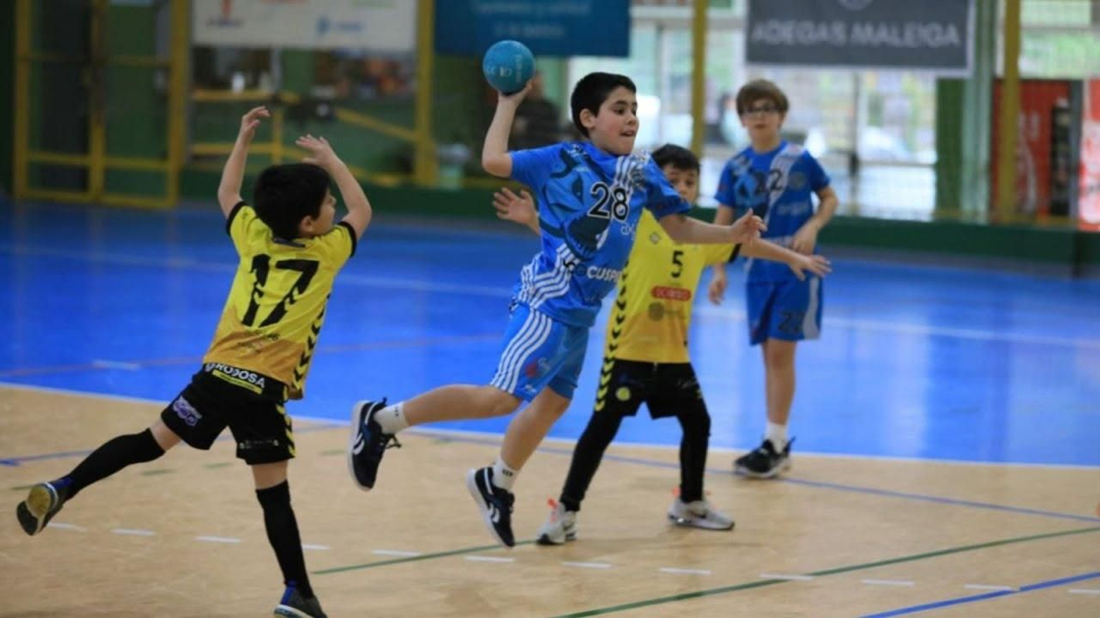 Las "Escoliñas" protagonizan una jornada de minibalonmano