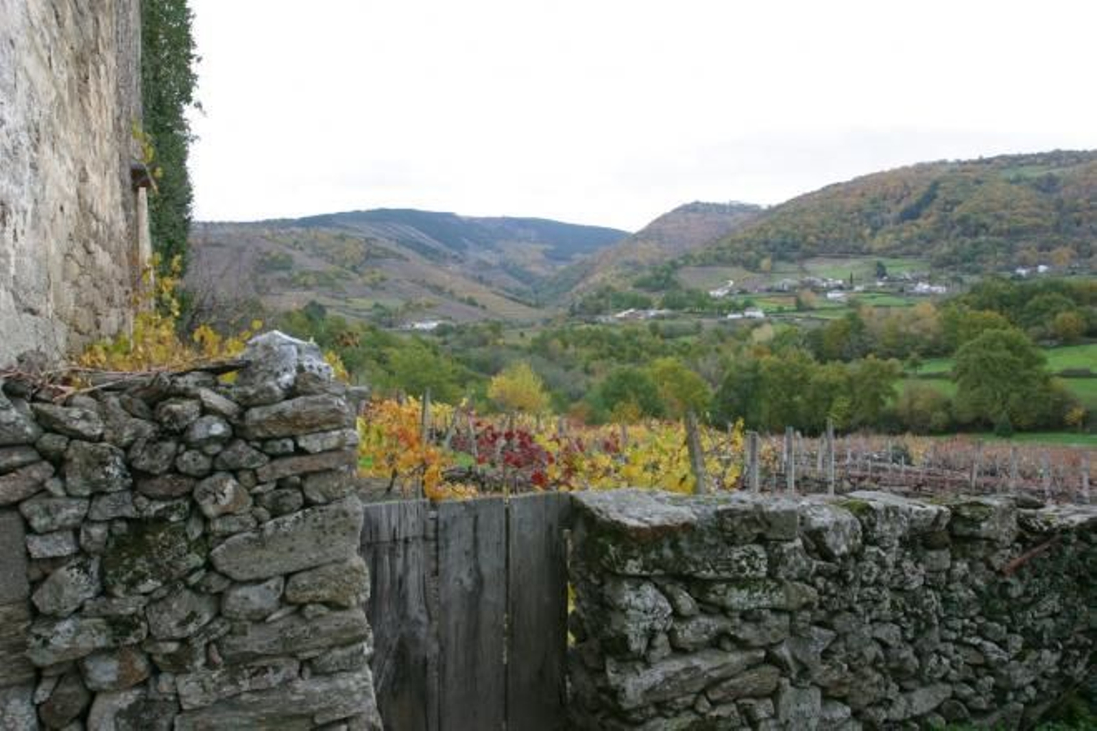 Deterioro del Monasterio de San Paio de Abeleda