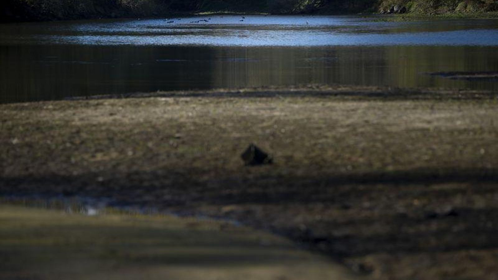 Ourense 9/11/21 Aspecto que presenta el río Miño a la altura de la depuradora de Reza  Fotos Martiño Pinal