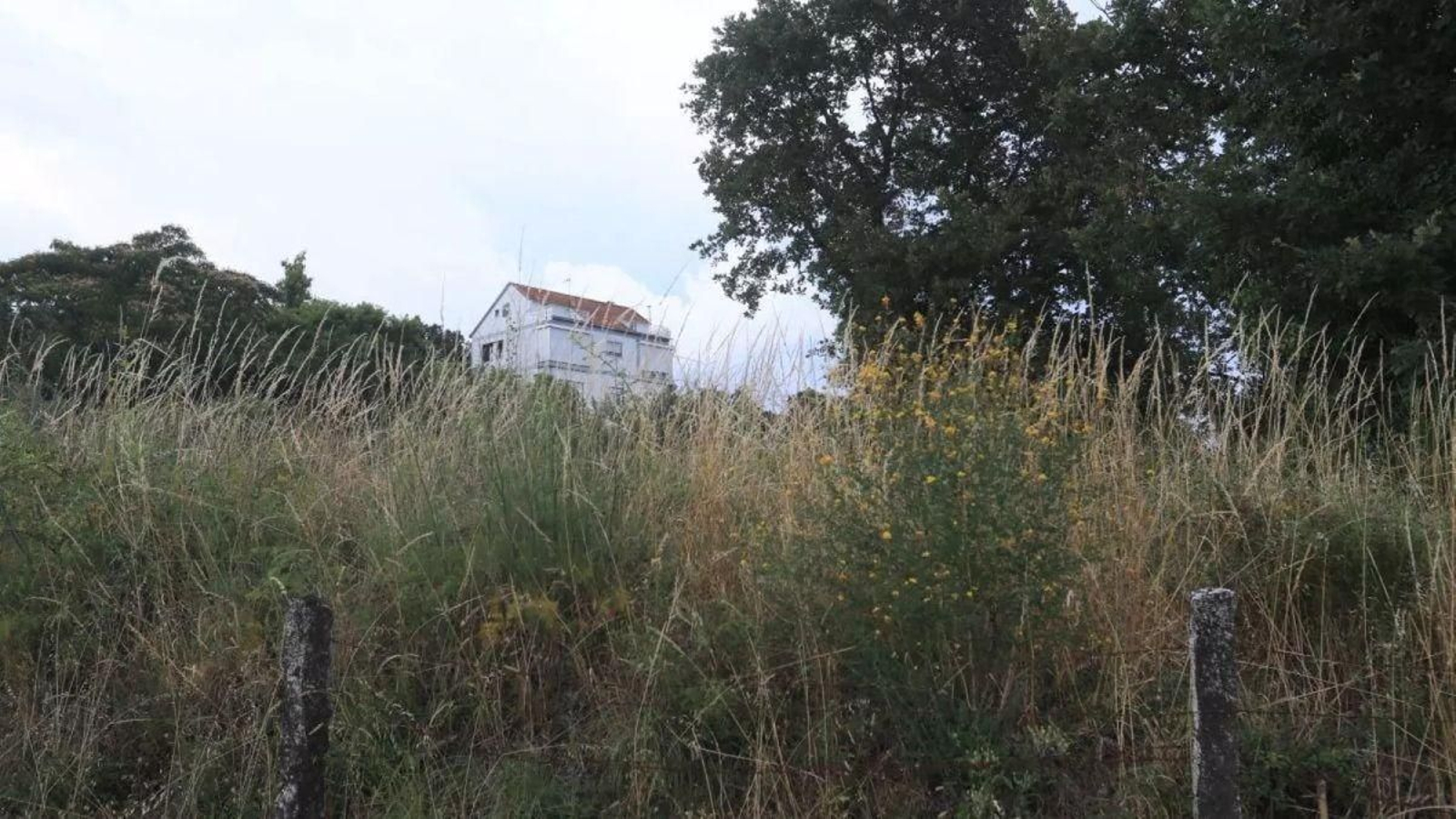 Finca con maleza sin desbrozar en Piñor.